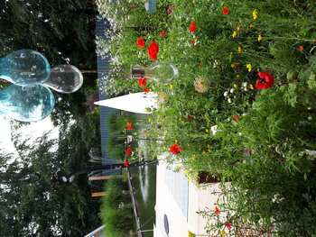 Der Gartenteich im Garten Meding und Postels in Steddorf. Davor stehen üppige Stauden mit bunten Blüten.