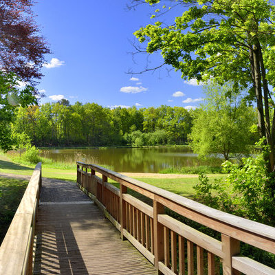 Birkensee in Weertzen
