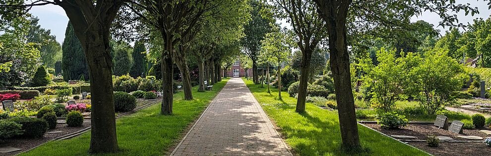 Foto Eingang Friedhof Elsdorf mit Baumallee