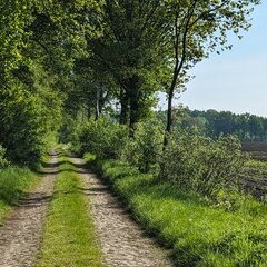 Feldweg