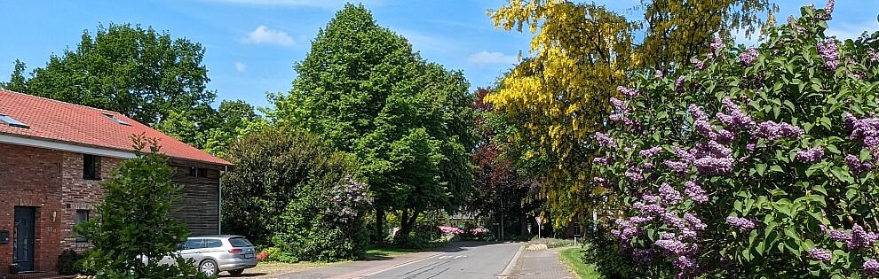 Foto Straße in Elsdorf