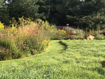 Wildblumen wachsen entlang des saftig grünen Rasens im Garten am Mühlenbach in Hanstedt. 