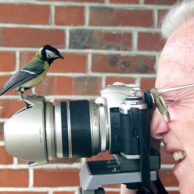 Hermann Tödter bei der Fotografie, Meise auf der Kamera