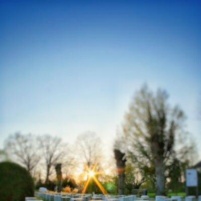 Friedhof