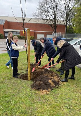 Obstbaumpflanzung an der IGS Zeven 